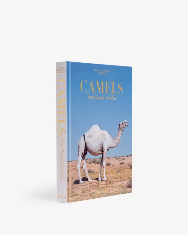 Sale Camels From Saudi Arabia (Classic) Classics